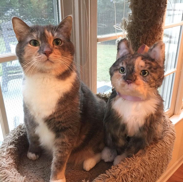 Custom Cat Plush Cuddle Clone