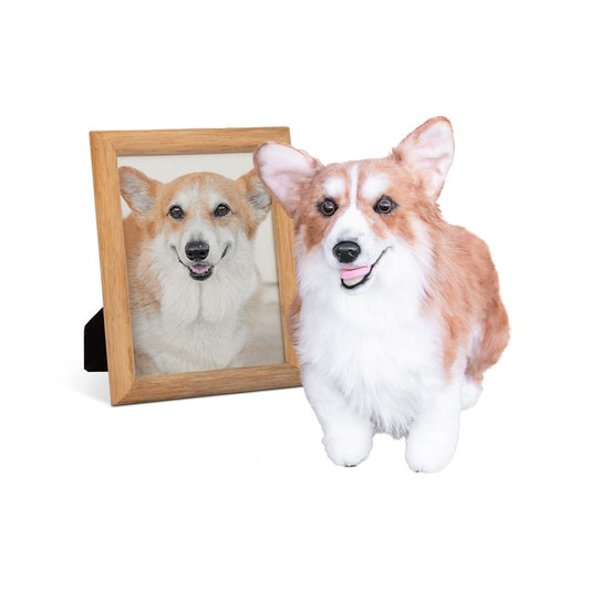 Custom Corgi Plush Cuddle Clone
