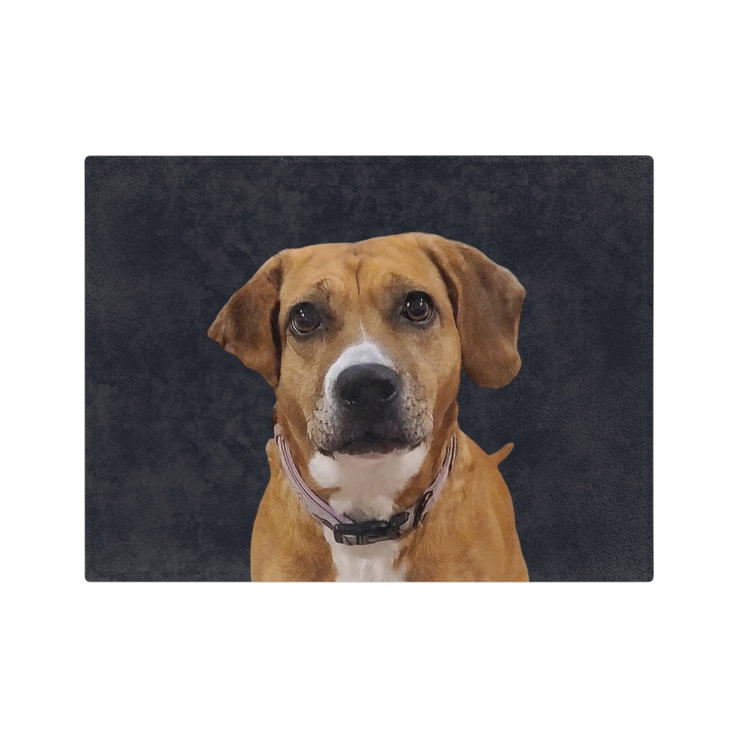 Customized Pet Art Blanket - 1 Pet
