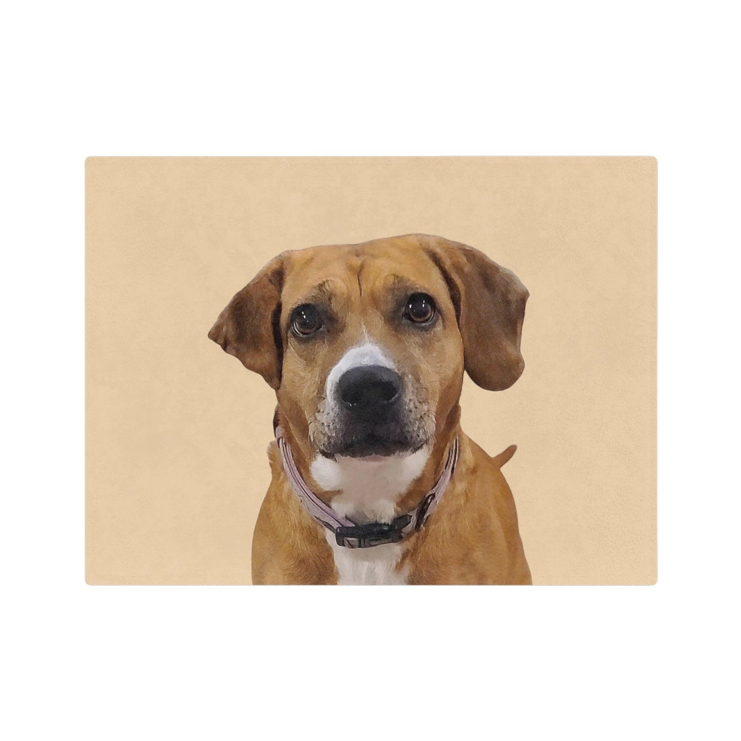 Customized Pet Art Blanket - 1 Pet