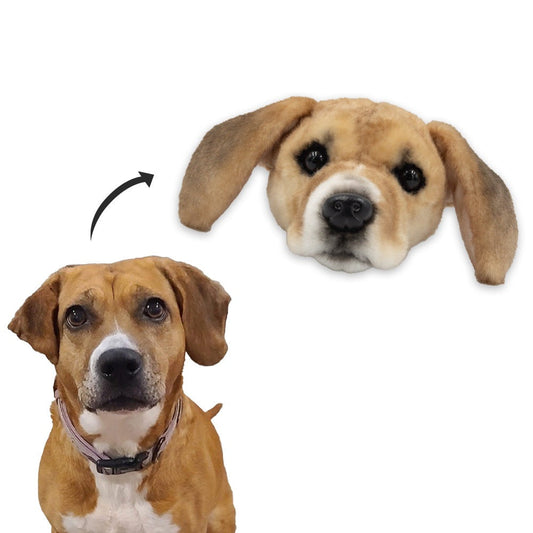 Wholesale Magnet