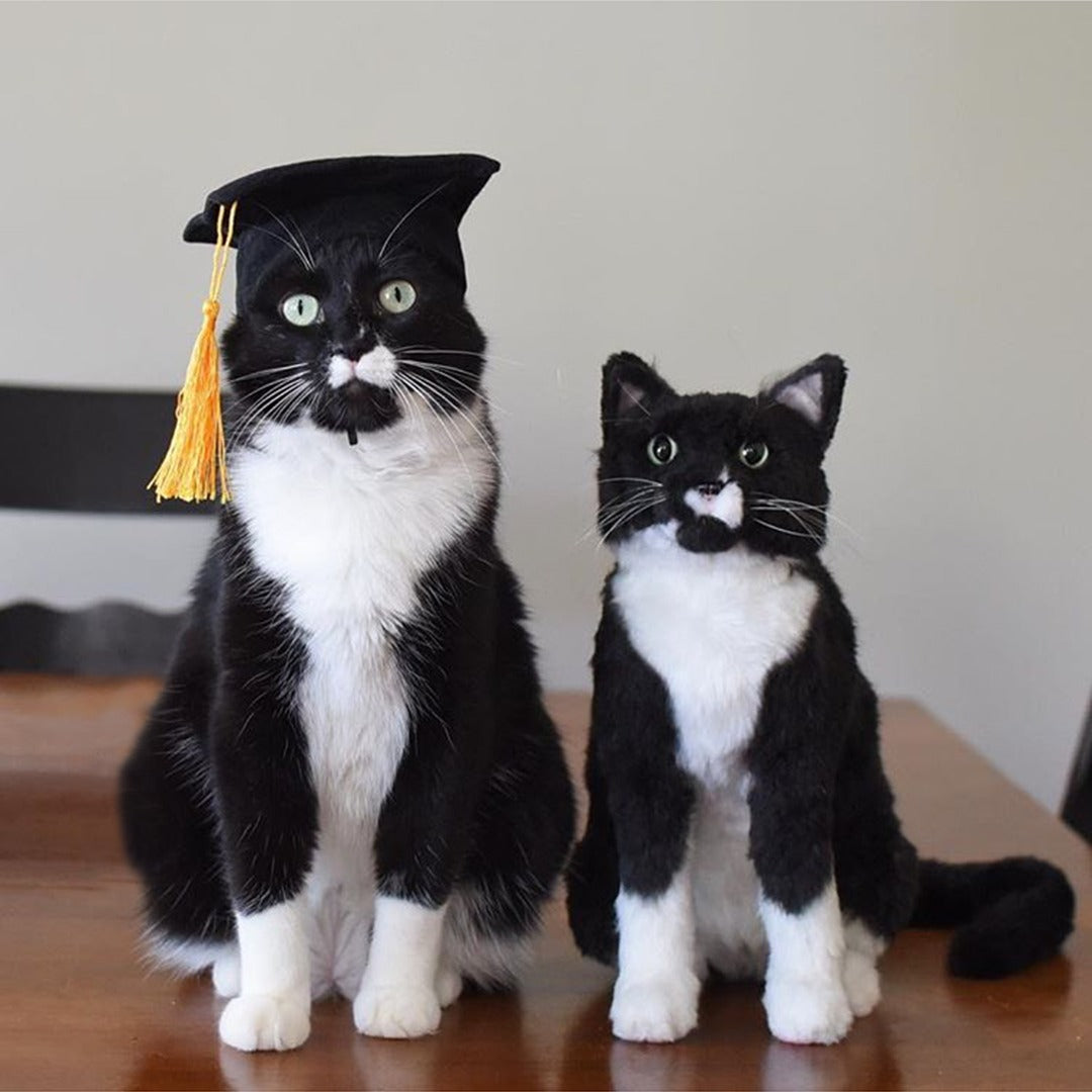 Custom Cat Plush Cuddle Clone
