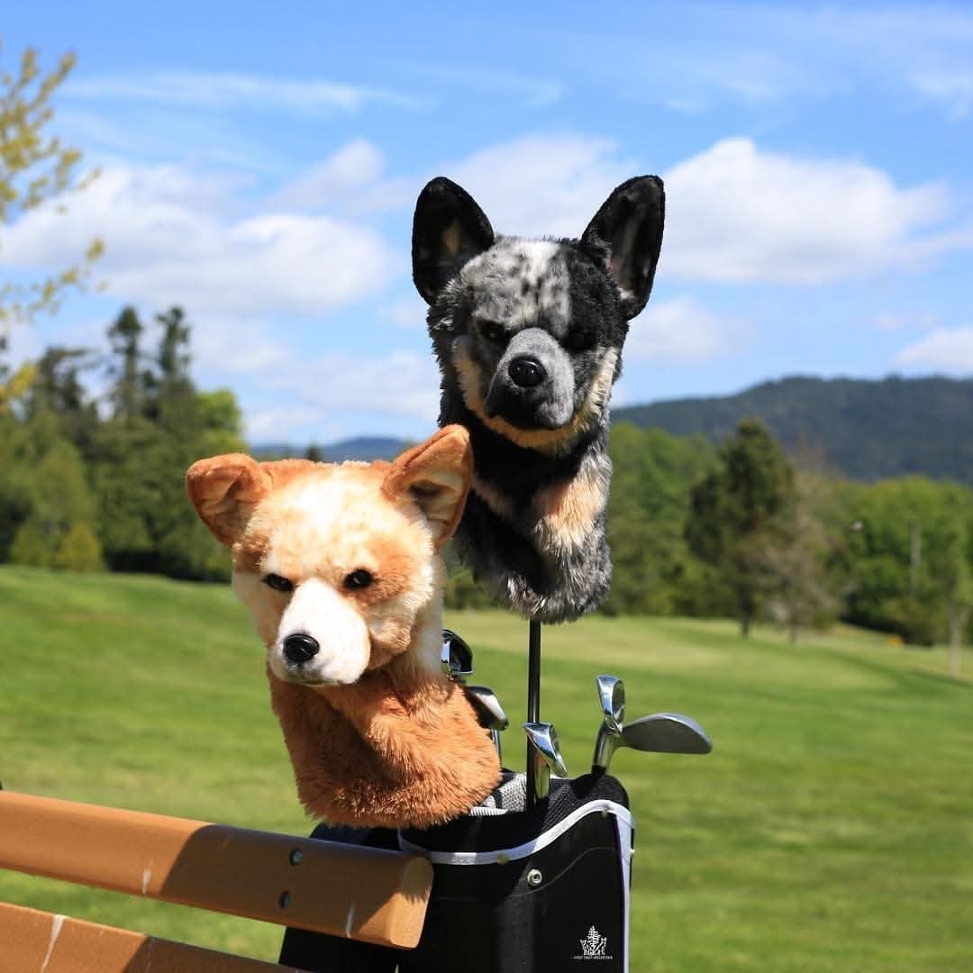 Wholesale Golf Club Headcover