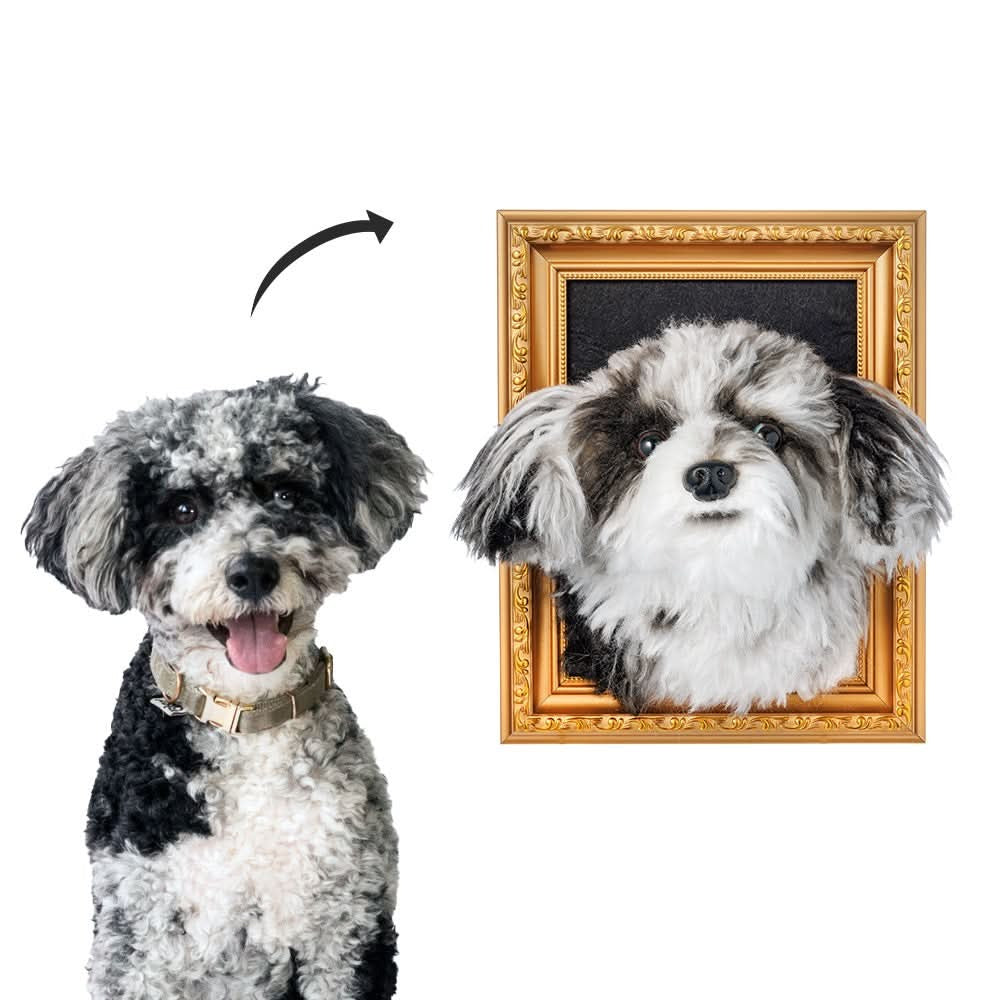 Wholesale Framed Plush Pet Portrait
