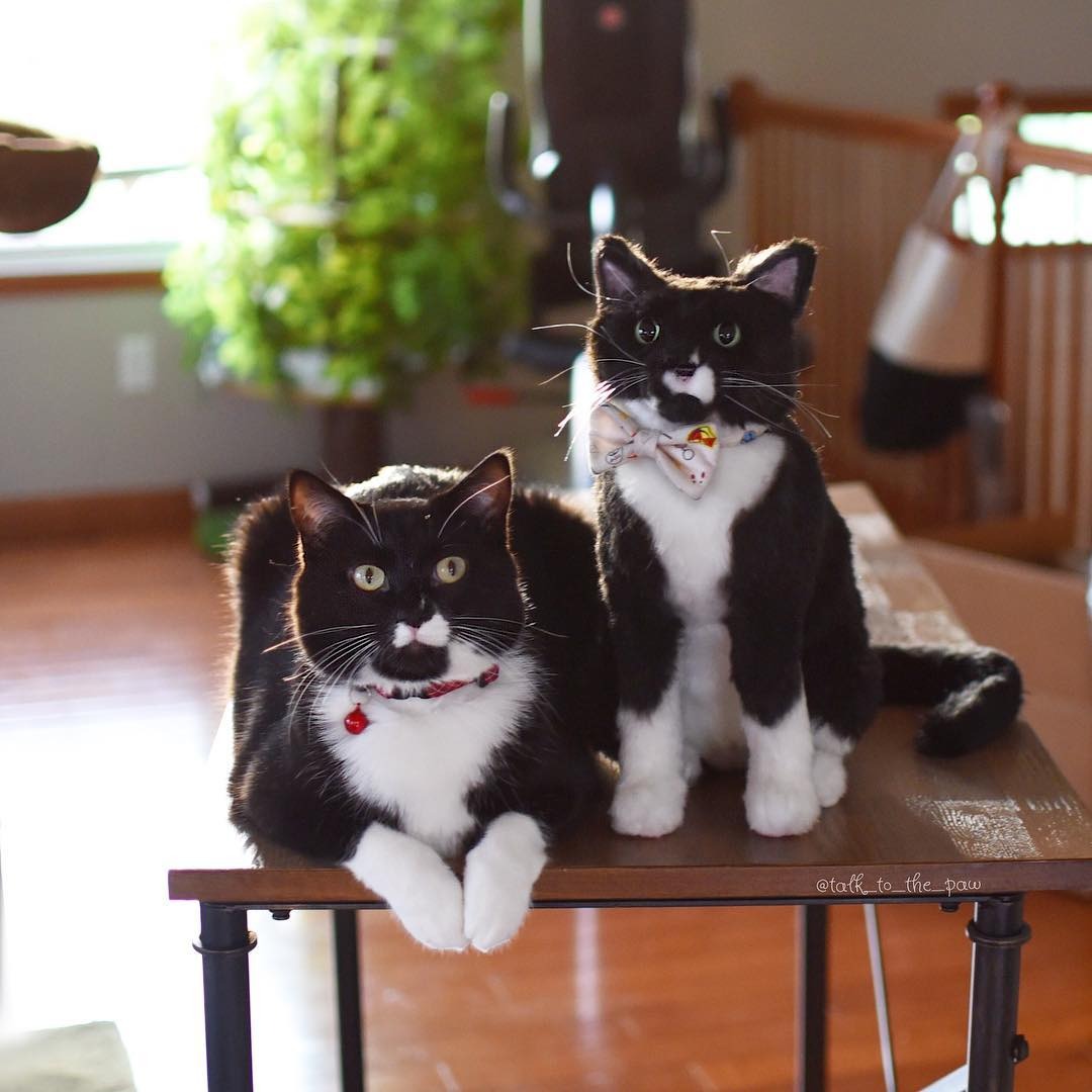 Custom Cat Plush Cuddle Clone