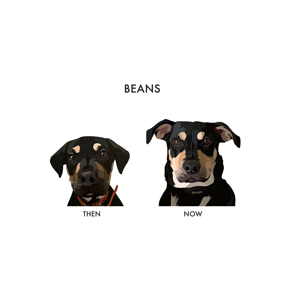 Custom Then vs Now Pet Portrait