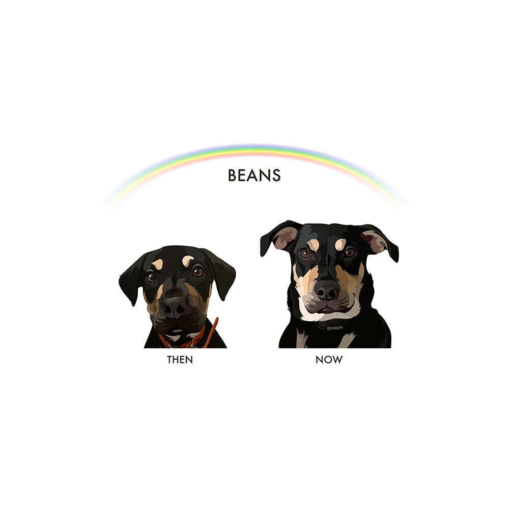 Custom Then vs Now Pet Portrait