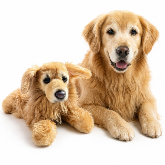 Therapeutic Cuddle Clone
