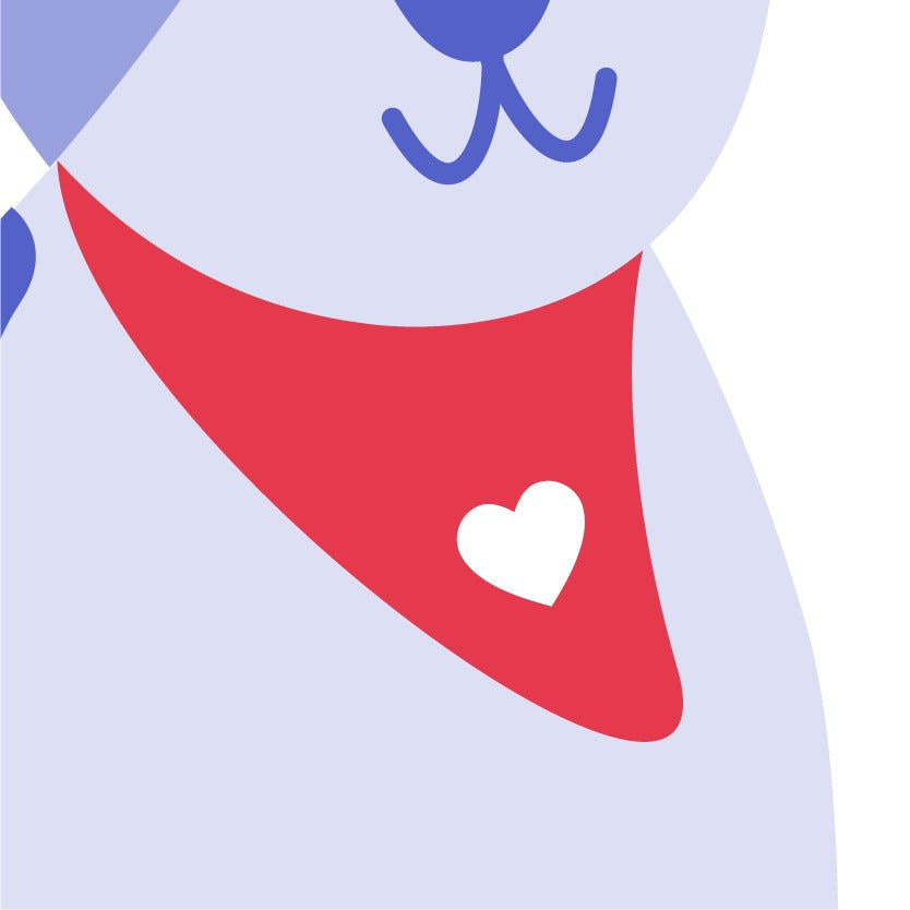 Custom Pet Bandana