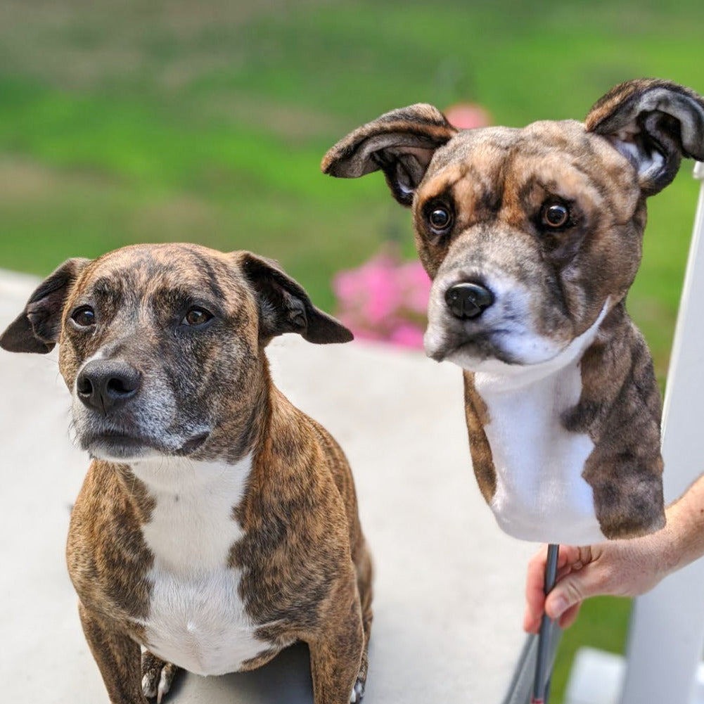 Custom Golf Club Headcover