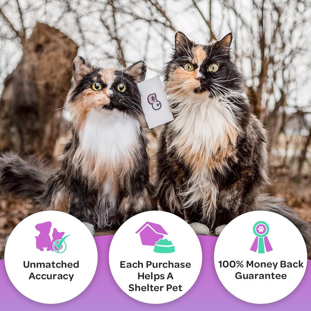 Custom Cat Plush Cuddle Clone