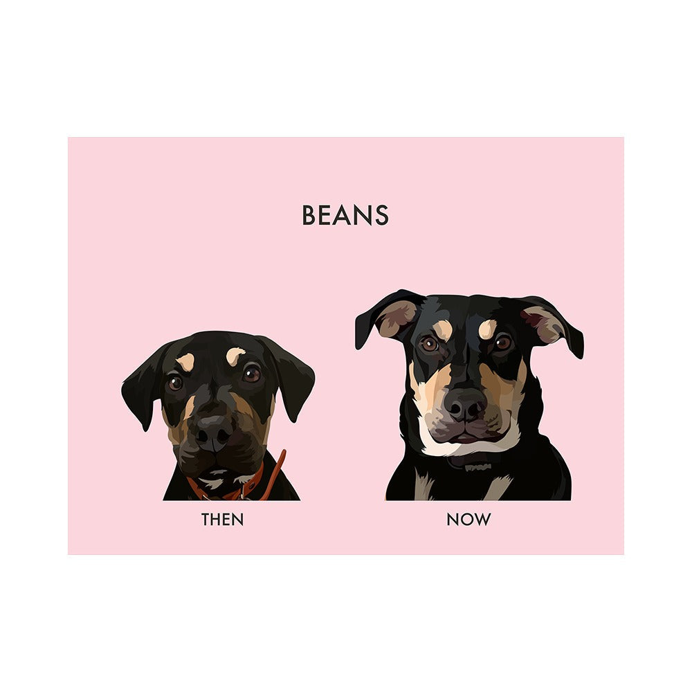 Custom Then vs Now Pet Portrait