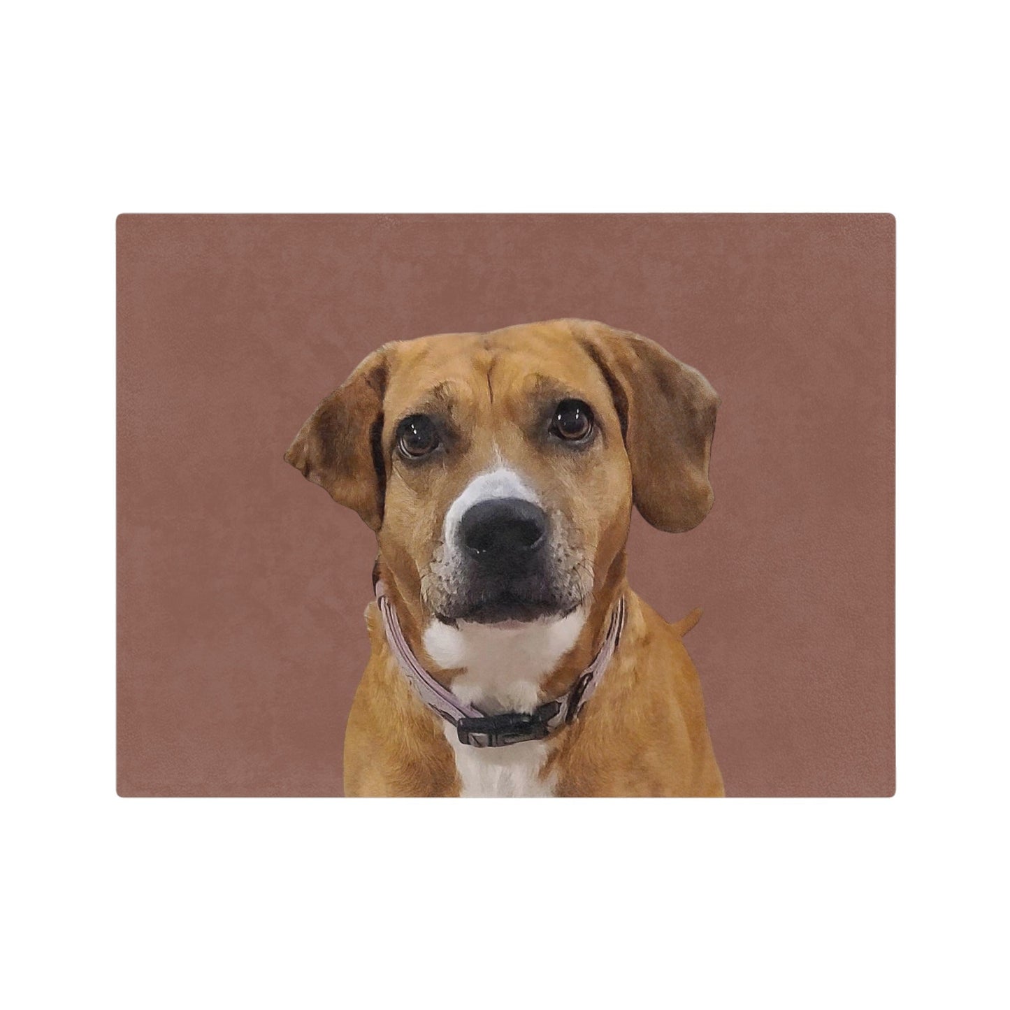 Customized Pet Art Blanket - 1 Pet