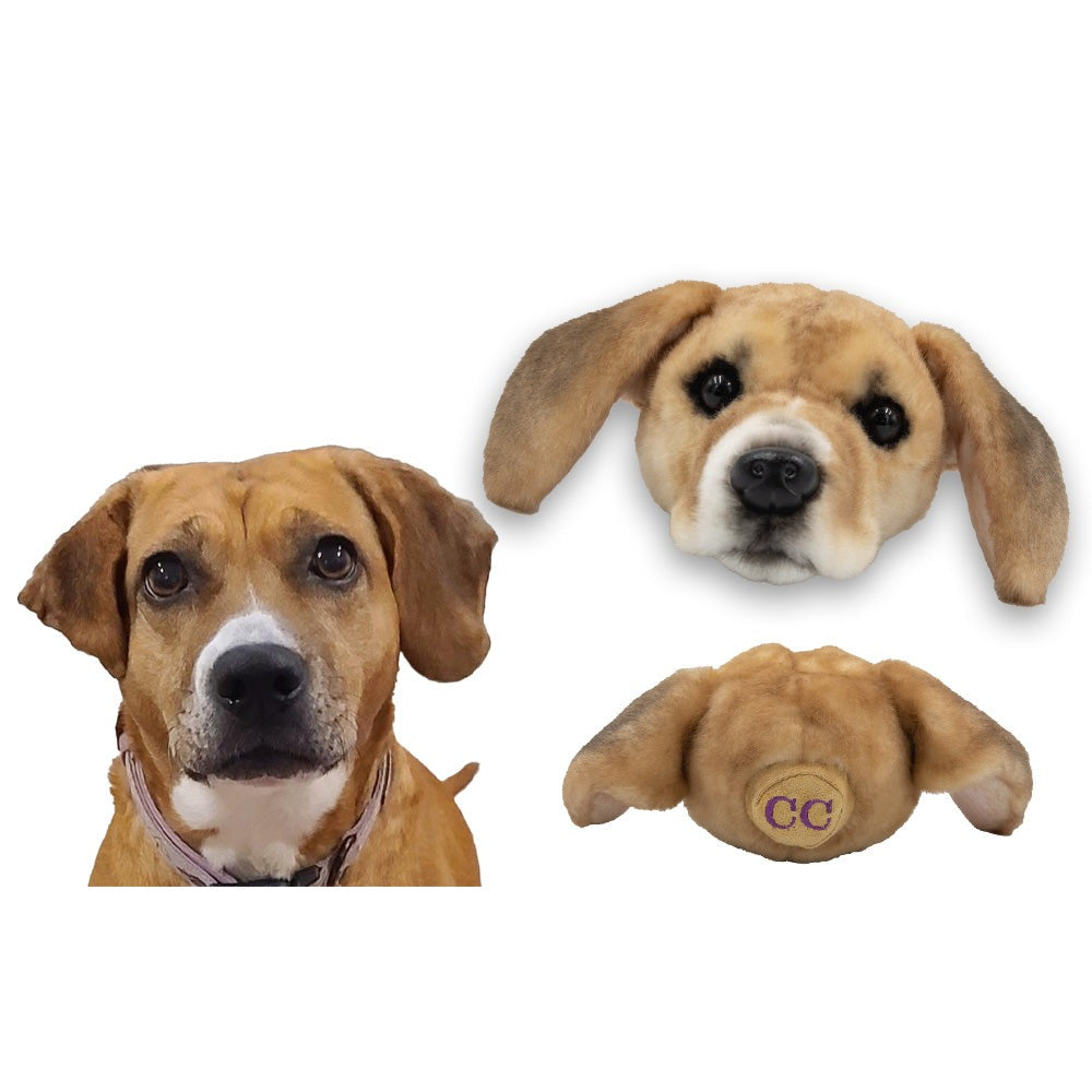 Wholesale Magnet