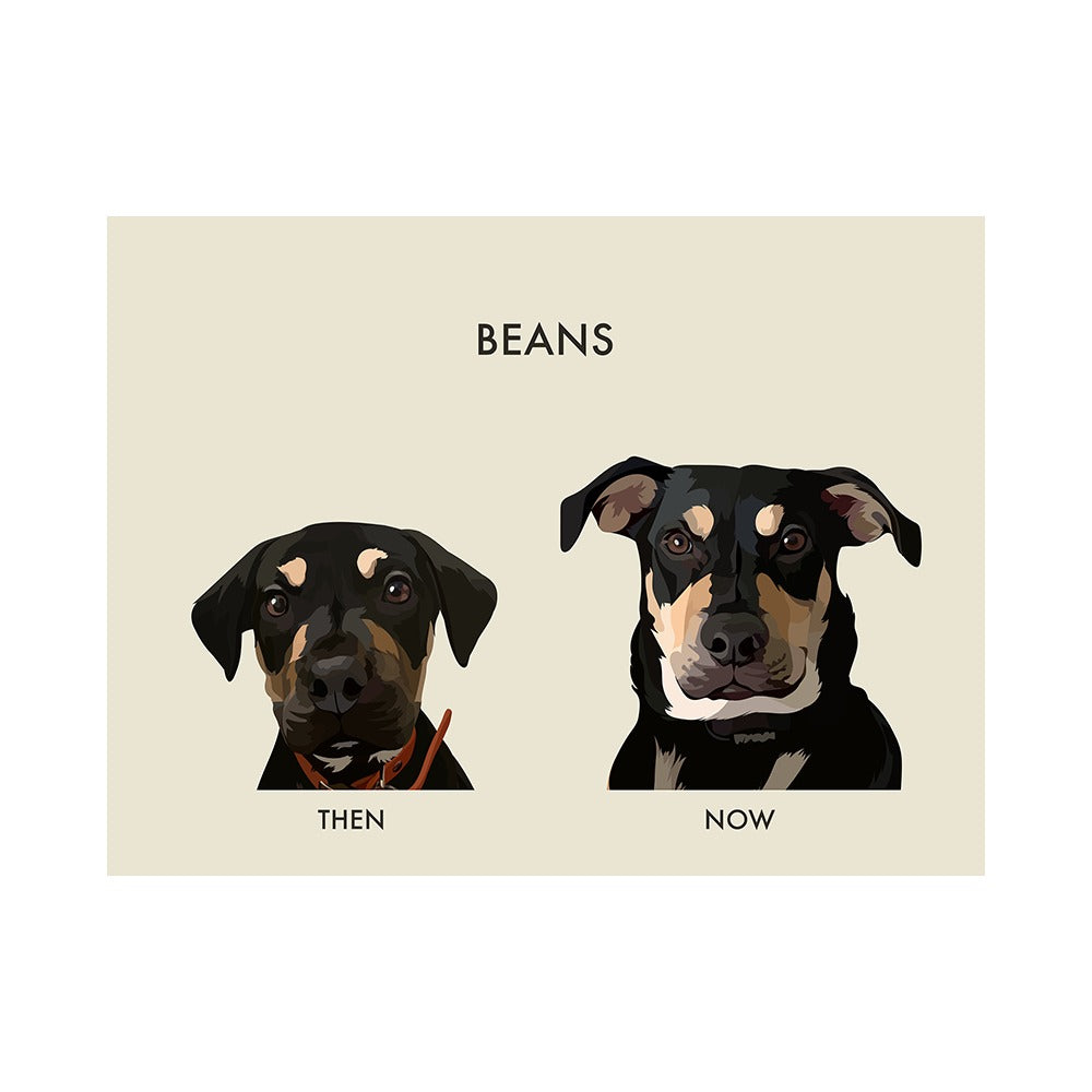 Custom Then vs Now Pet Portrait