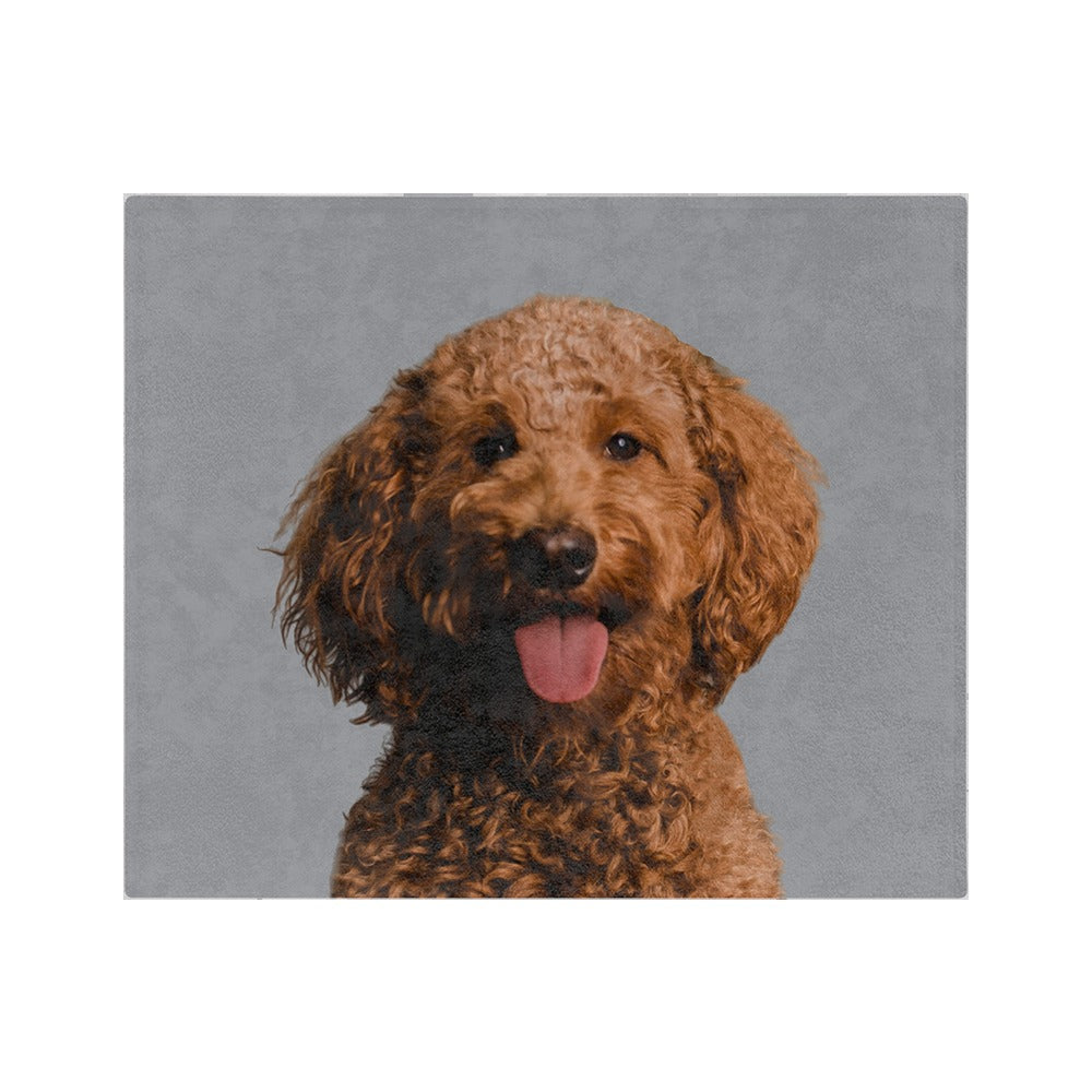 Custom Pet Art Blanket