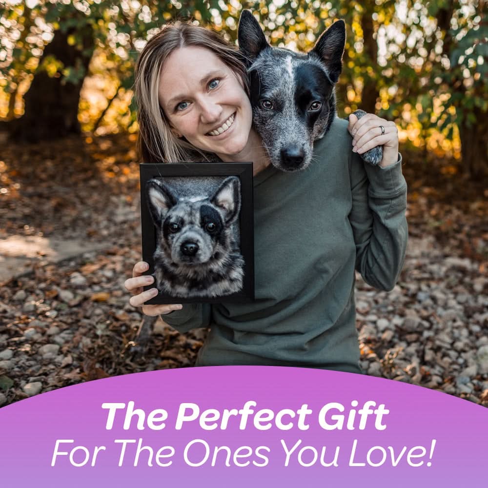 Wholesale Framed Plush Pet Portrait