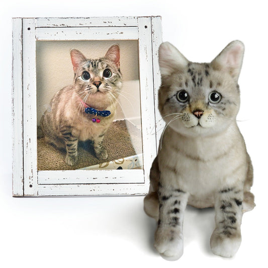 Custom Cat Plush Cuddle Clone