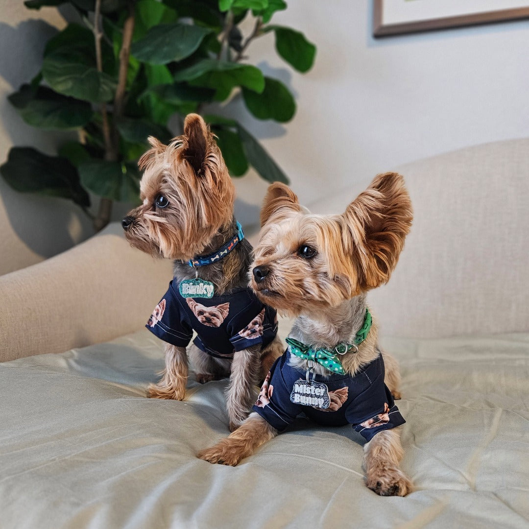 Custom Dog Pajamas