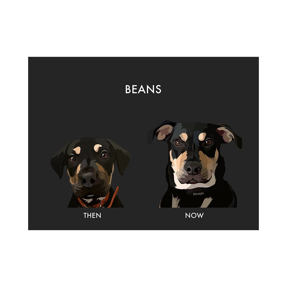 Custom Then vs Now Pet Portrait