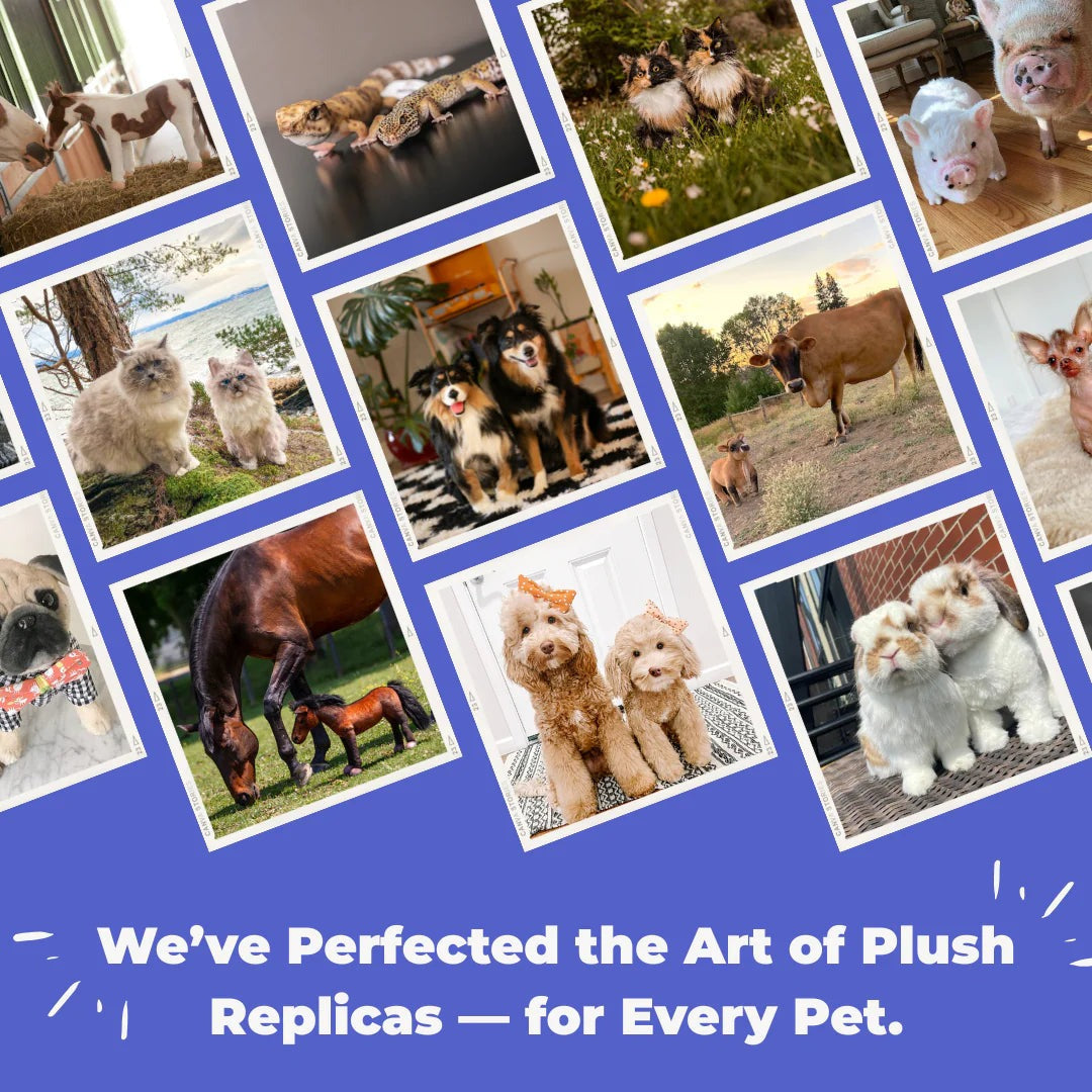Custom Pet Memorial Plush Cuddle Clone