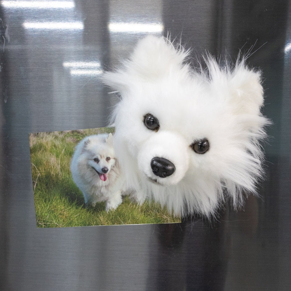 Wholesale Magnet