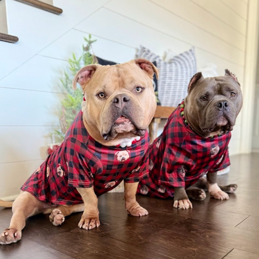 Custom Dog Pajamas