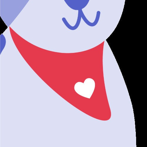 Custom Pet Bandana