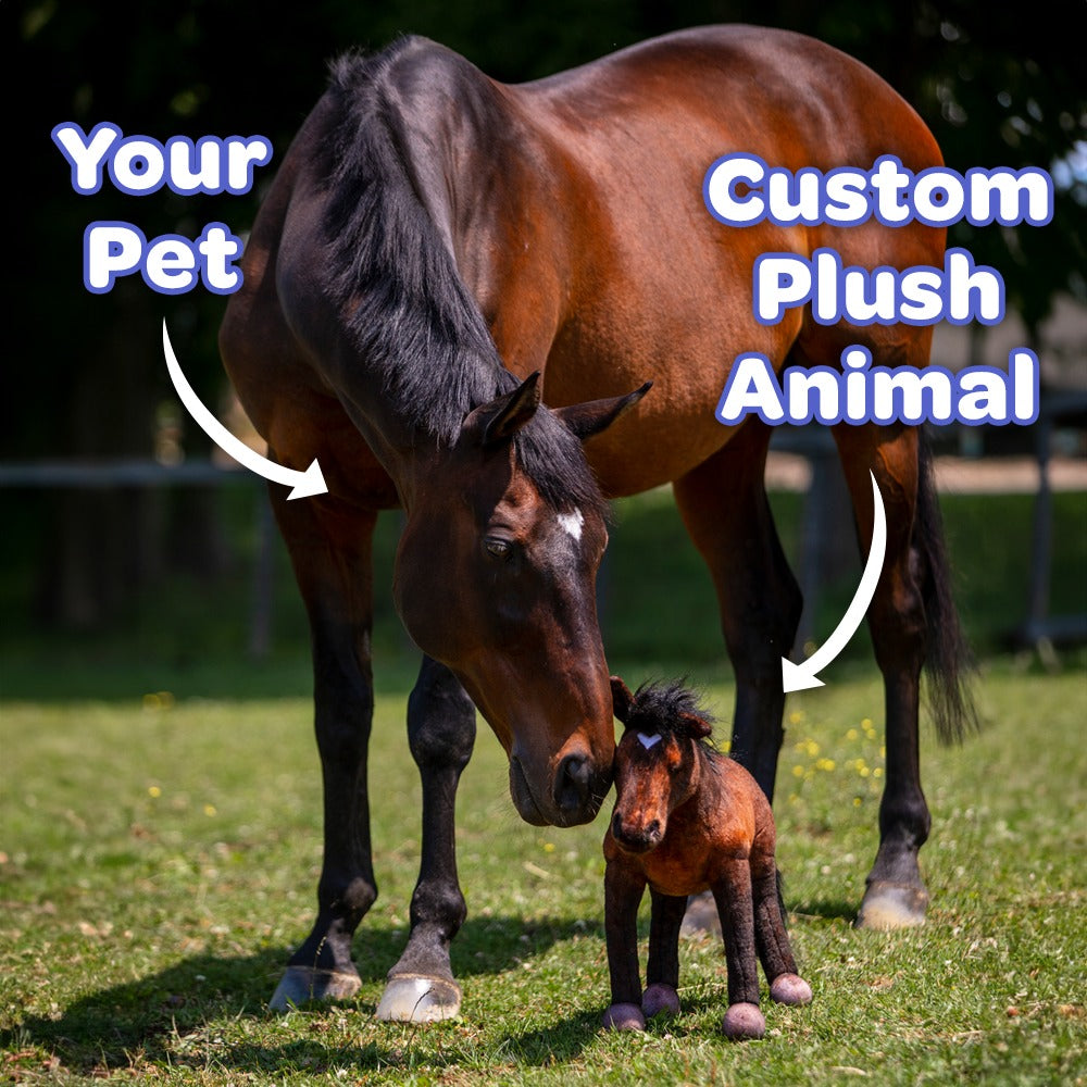Custom Horse Plush Cuddle Clone