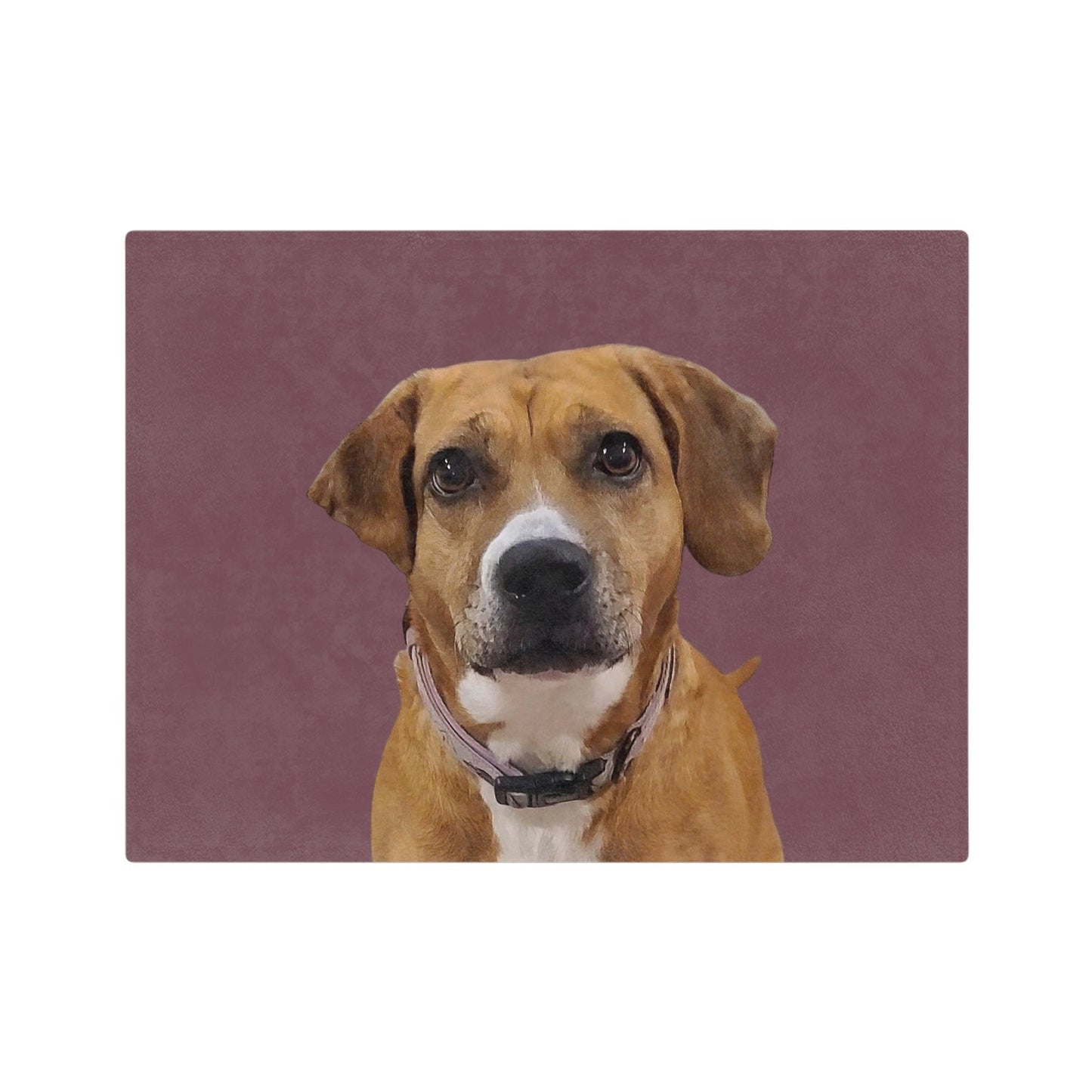 Customized Pet Art Blanket - 1 Pet
