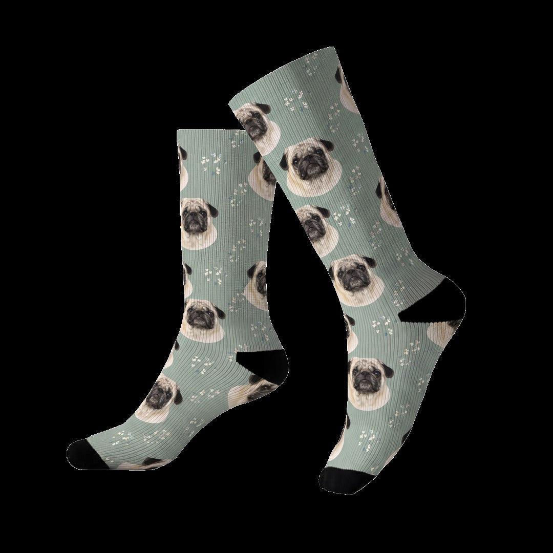 Custom Illustrated Pet Socks