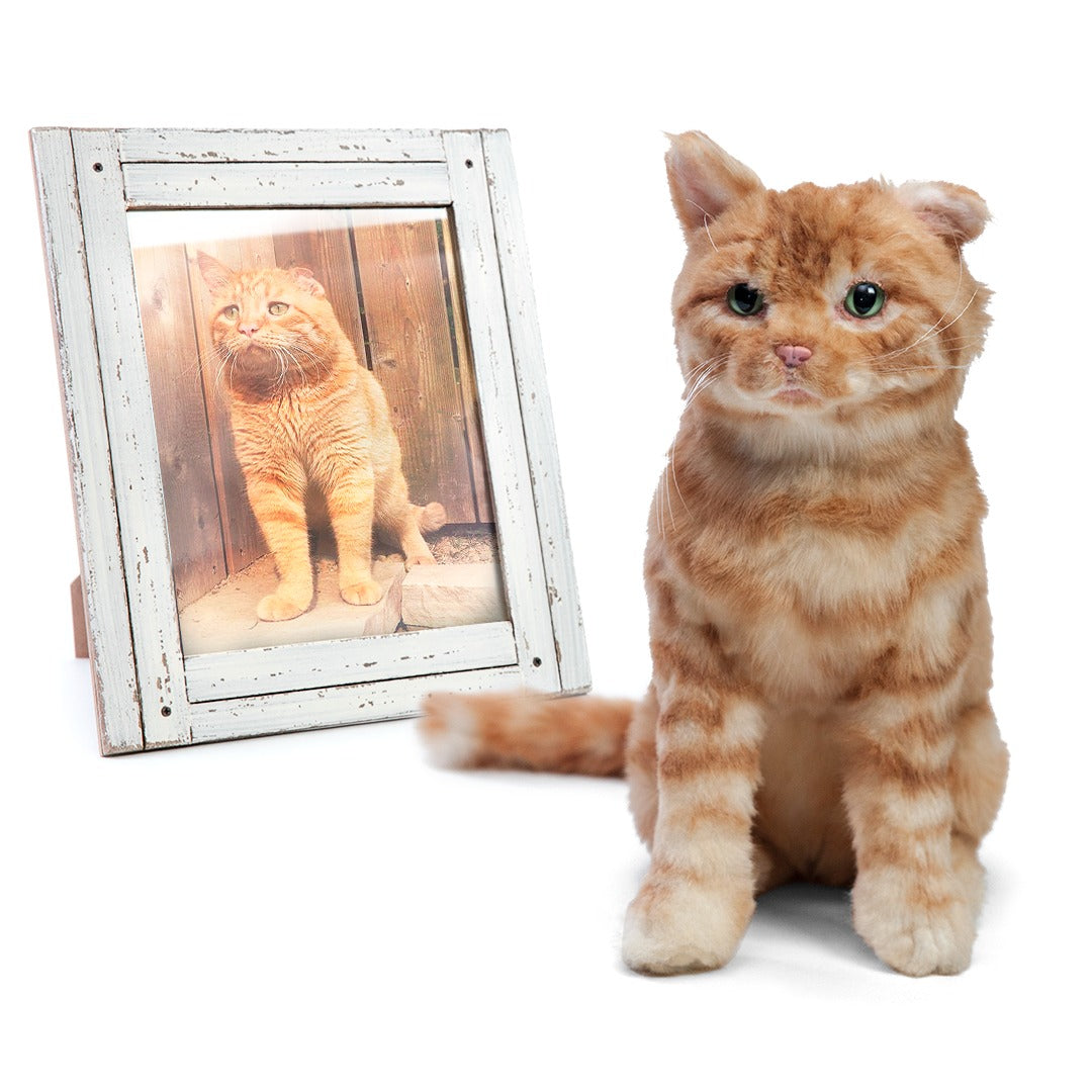 Custom Cat Plush Cuddle Clone