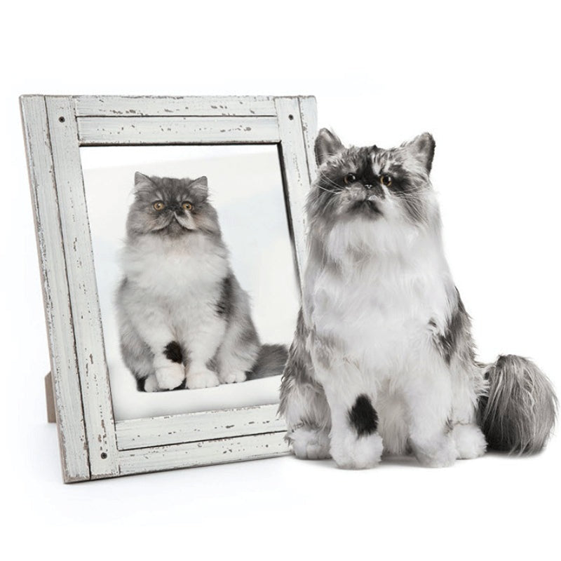 Custom Cat Plush Cuddle Clone