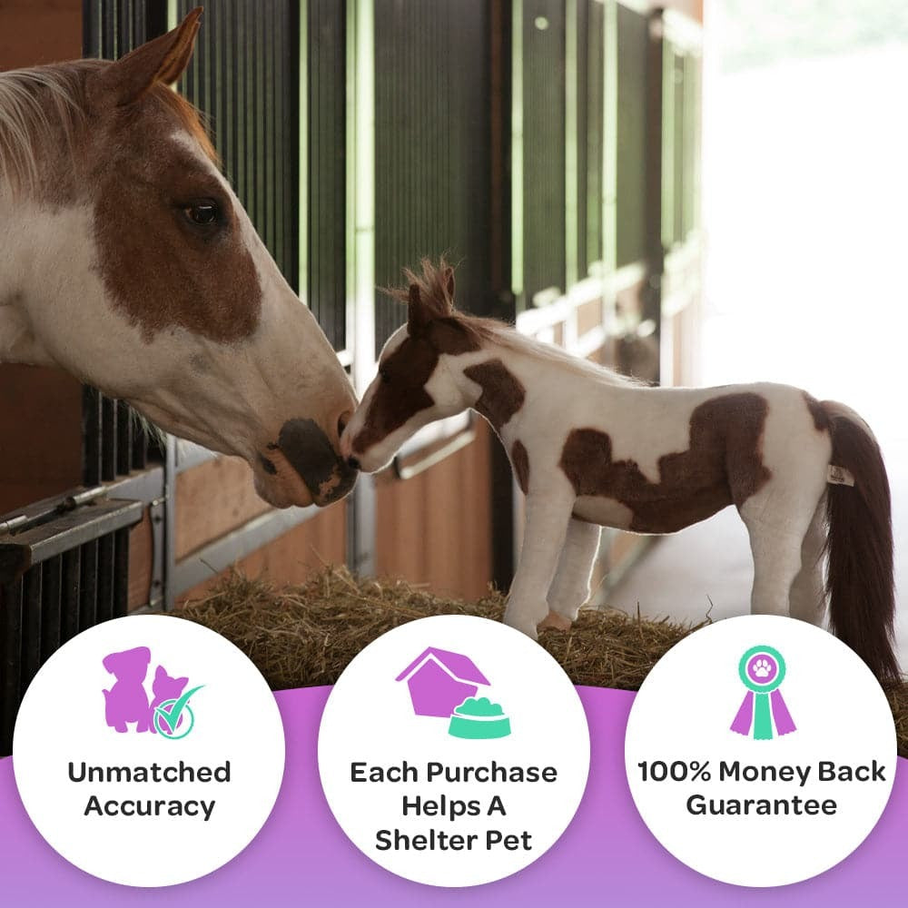 Custom Horse Plush Cuddle Clone
