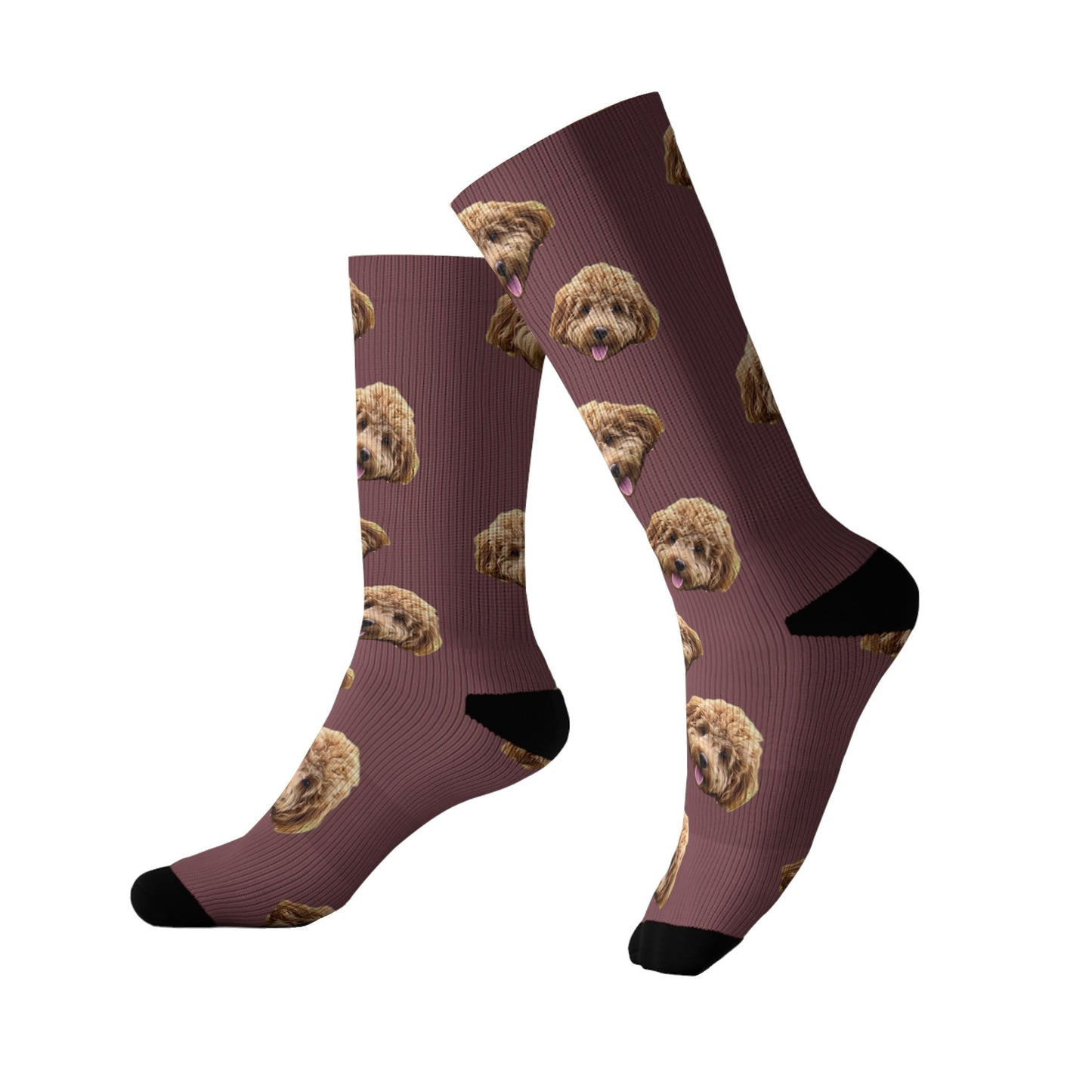 Customized Pet Socks - 1 Pet