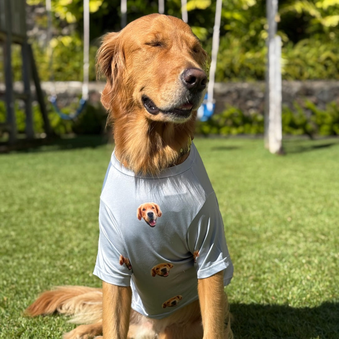 Custom Dog Pajamas