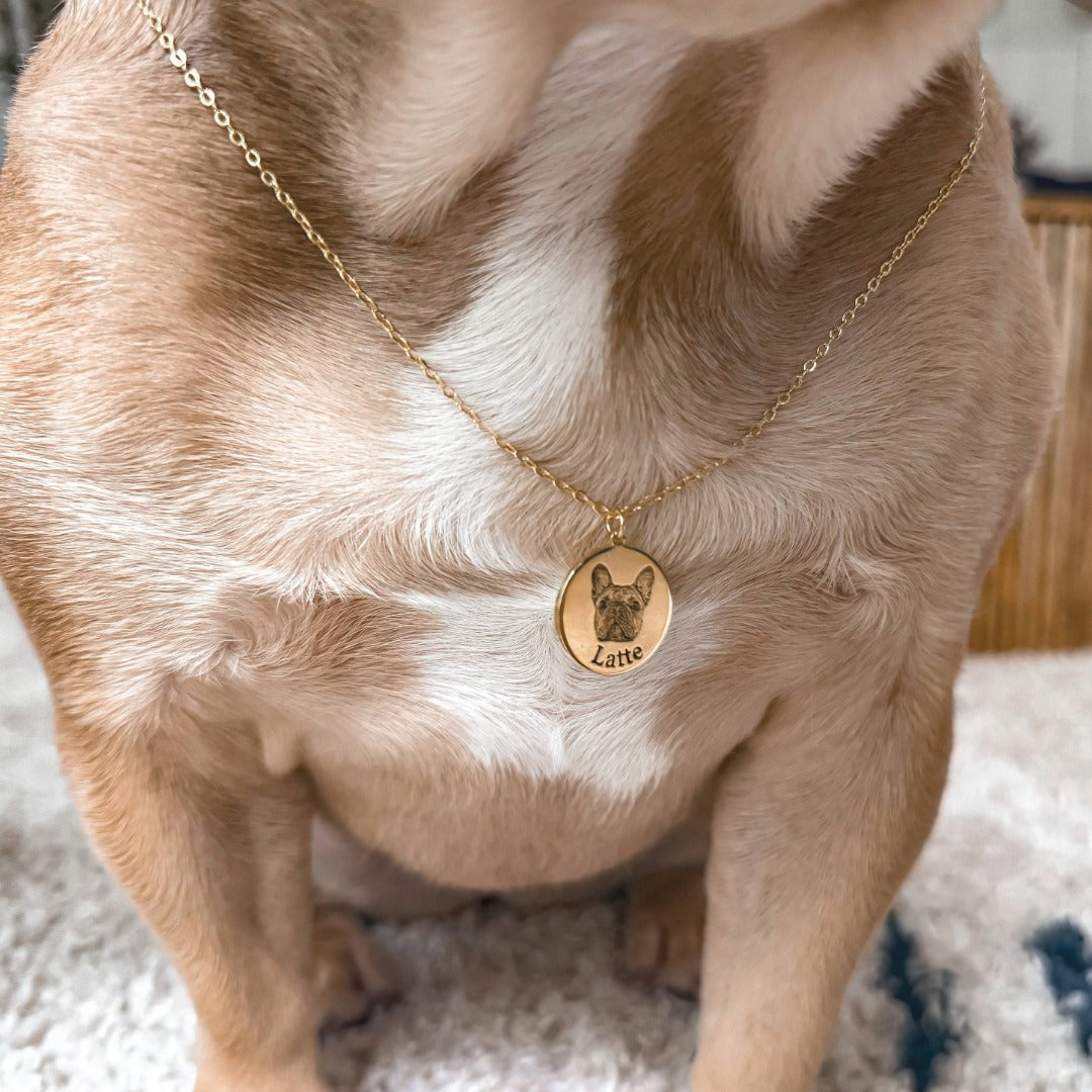 Custom Engraved Pet Portrait Necklace