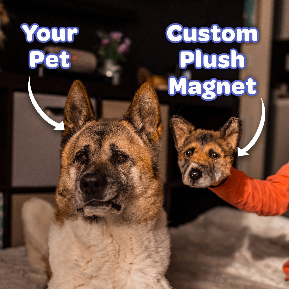 Wholesale Magnet