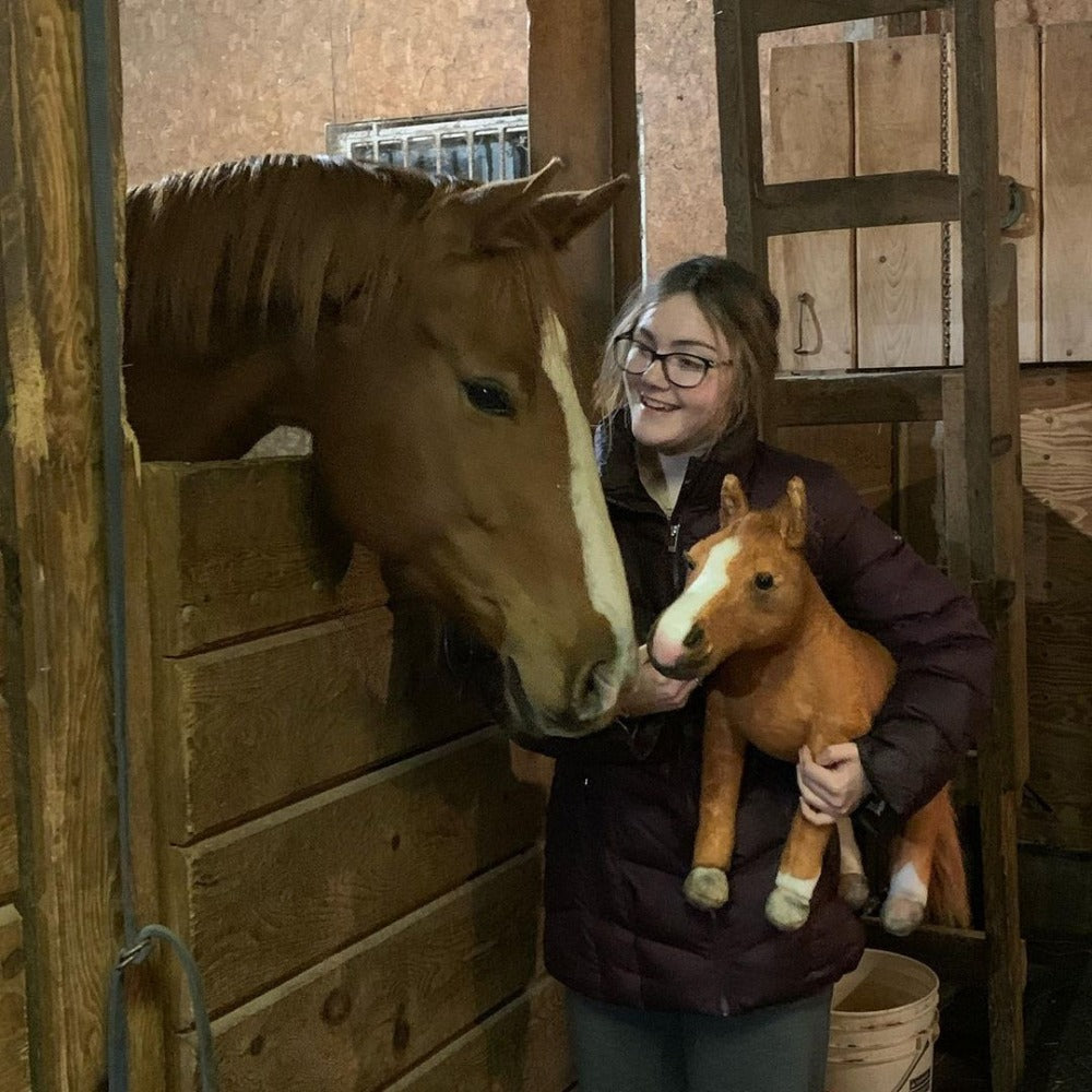 Custom Horse Plush Cuddle Clone