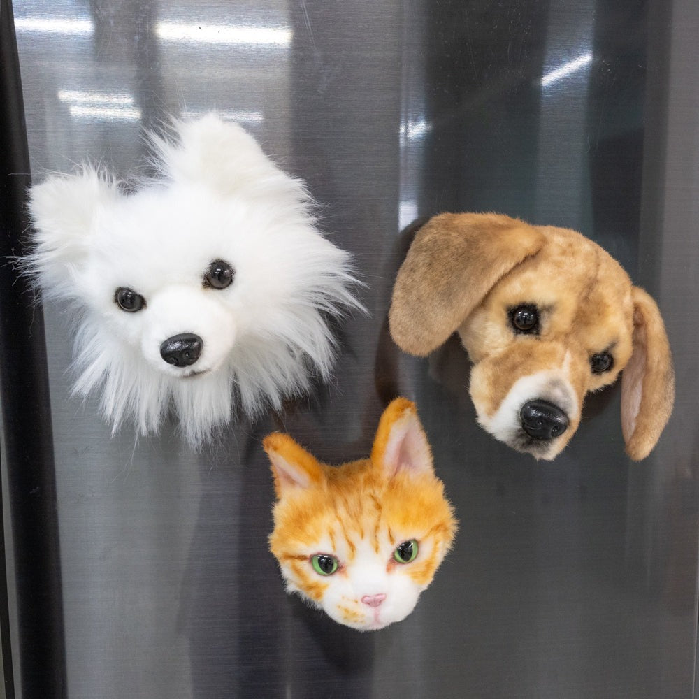 Wholesale Magnet