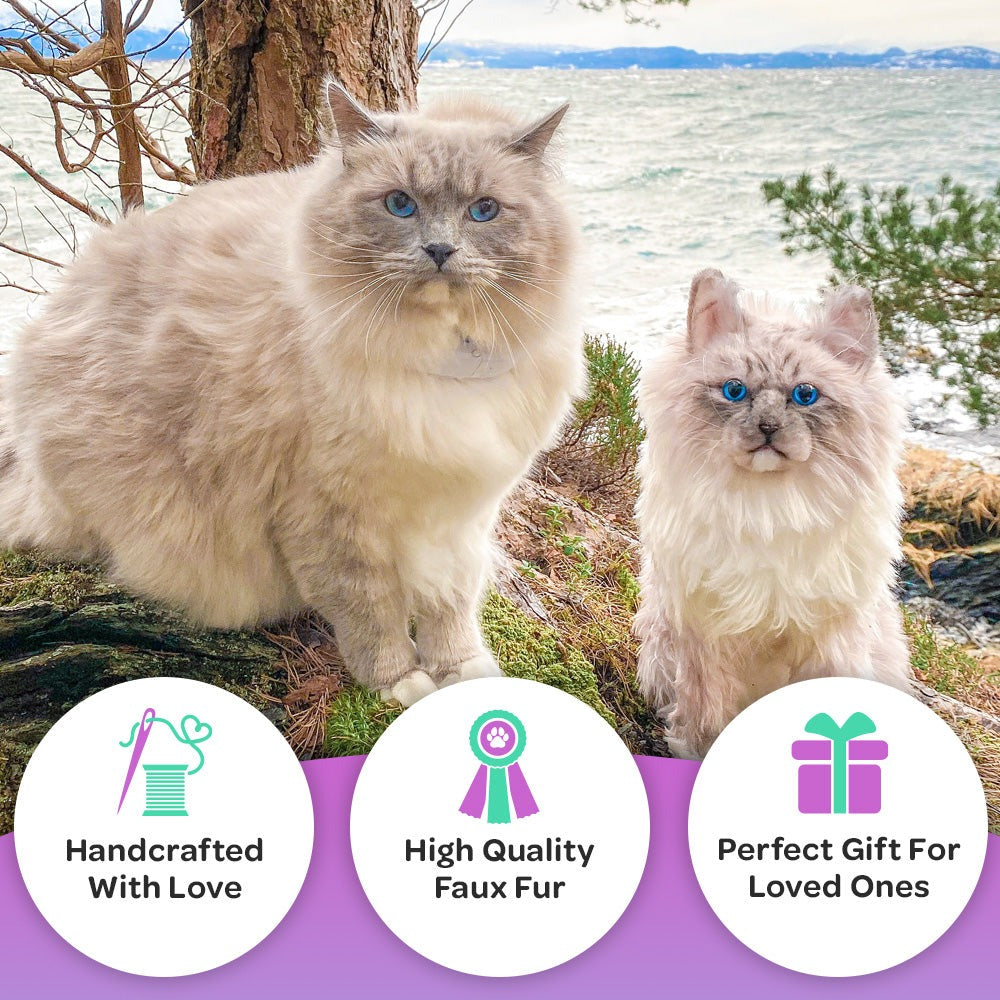 Custom Cat Plush Cuddle Clone