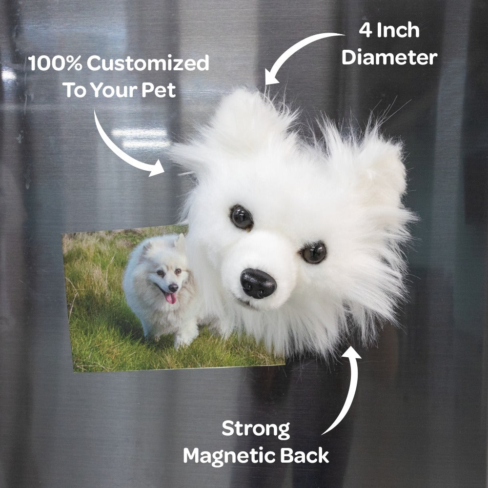 Wholesale Magnet