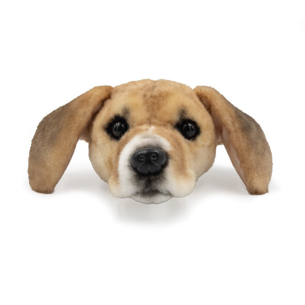 Wholesale Magnet