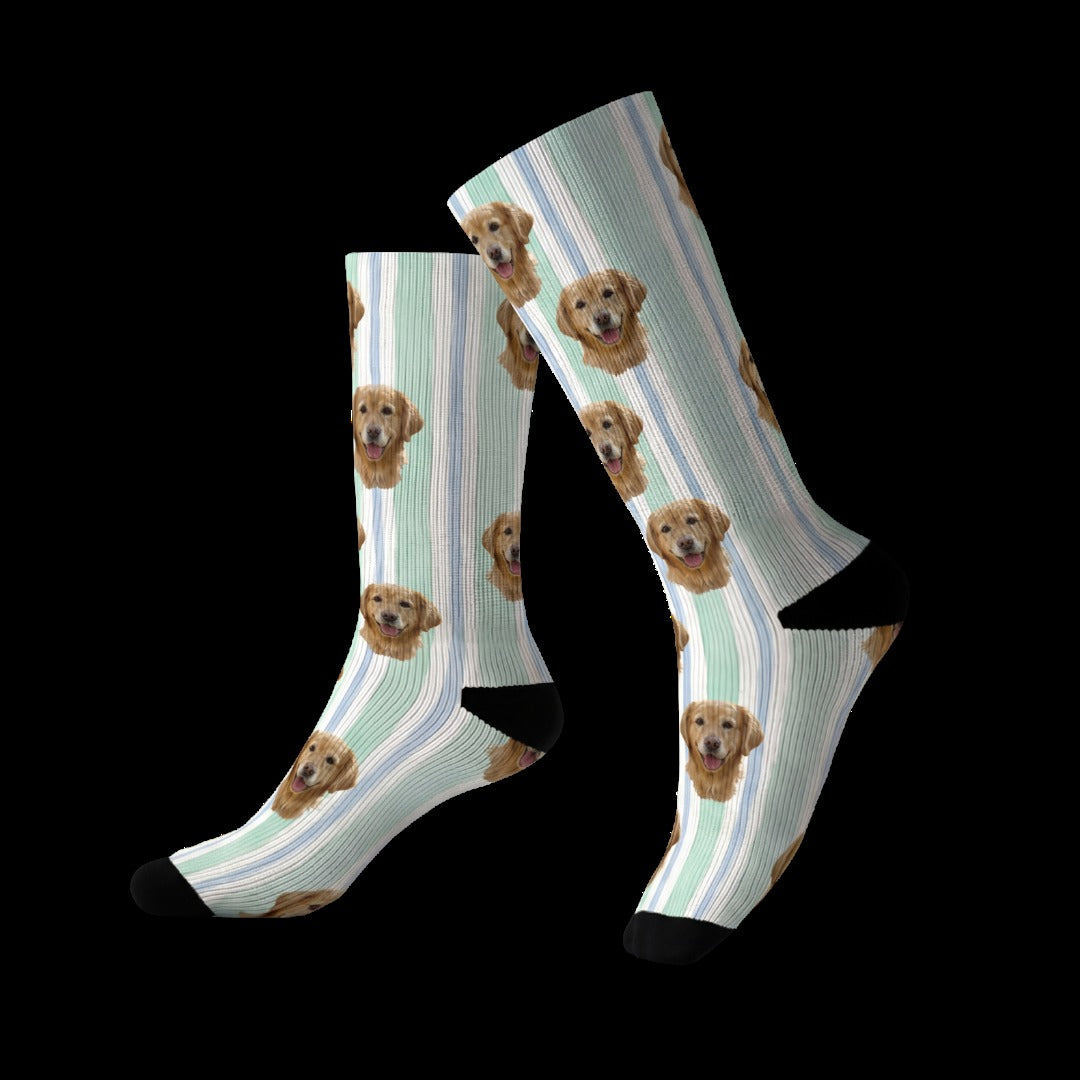 Custom Illustrated Pet Socks