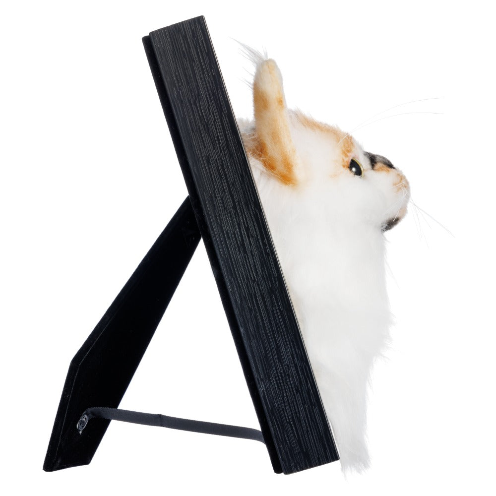 Wholesale Framed Plush Pet Portrait
