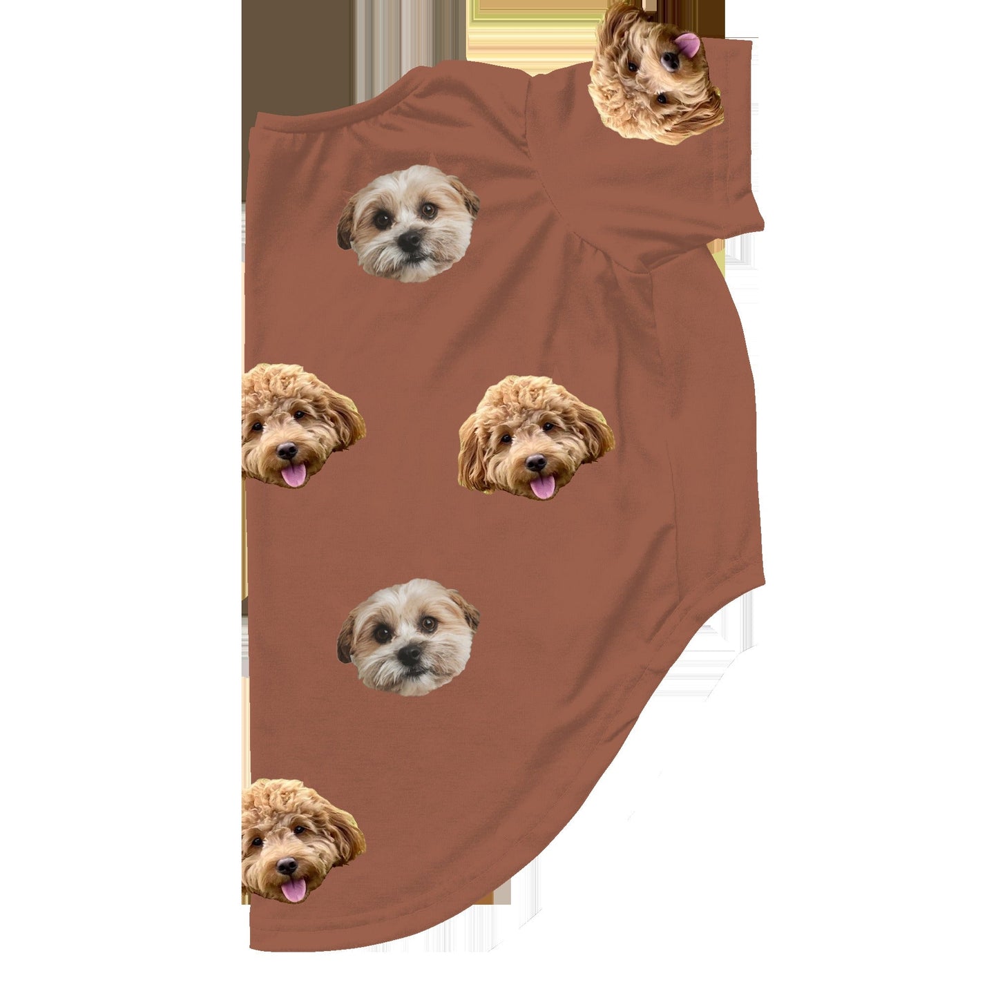 Customized Dog Pajamas - 2 Pets