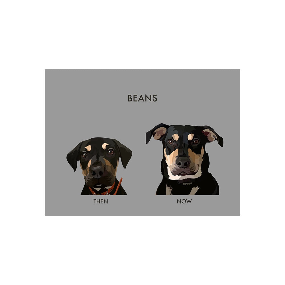 Custom Then vs Now Pet Portrait