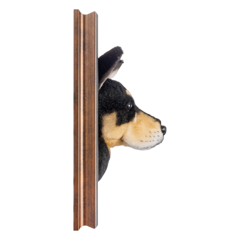 Wholesale Framed Plush Pet Portrait
