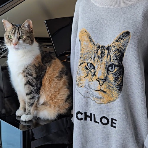 Custom Knit Pet Sweater