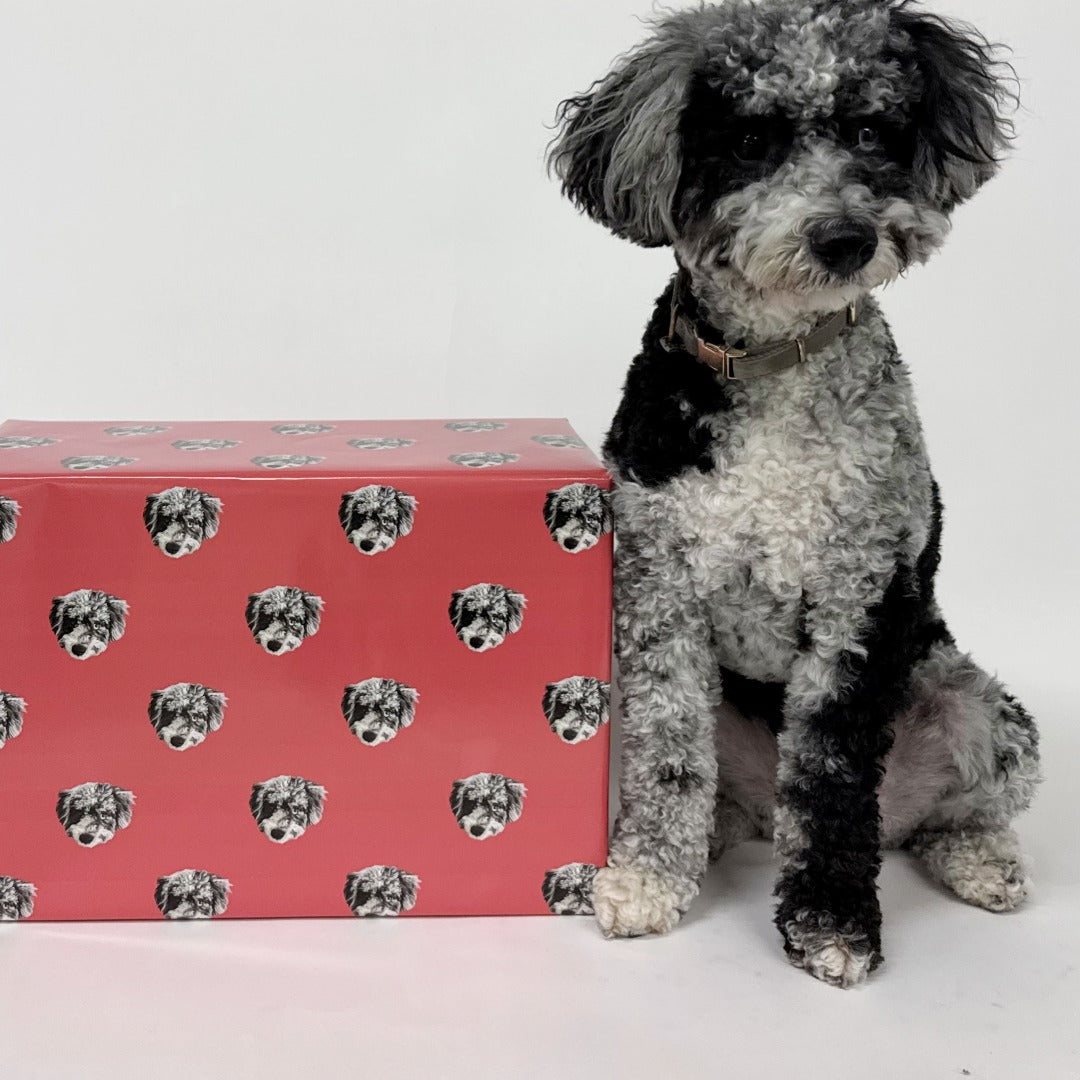 Custom Pet Face Wrapping Paper